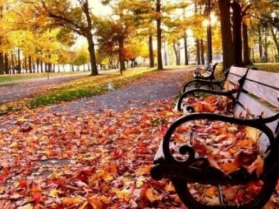 Noyabr ayının hava PROQNOZU