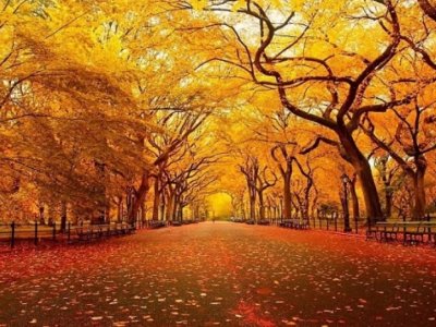 Oktyabrda Azərbaycanda müşahidə olunan hava PROQNOZU