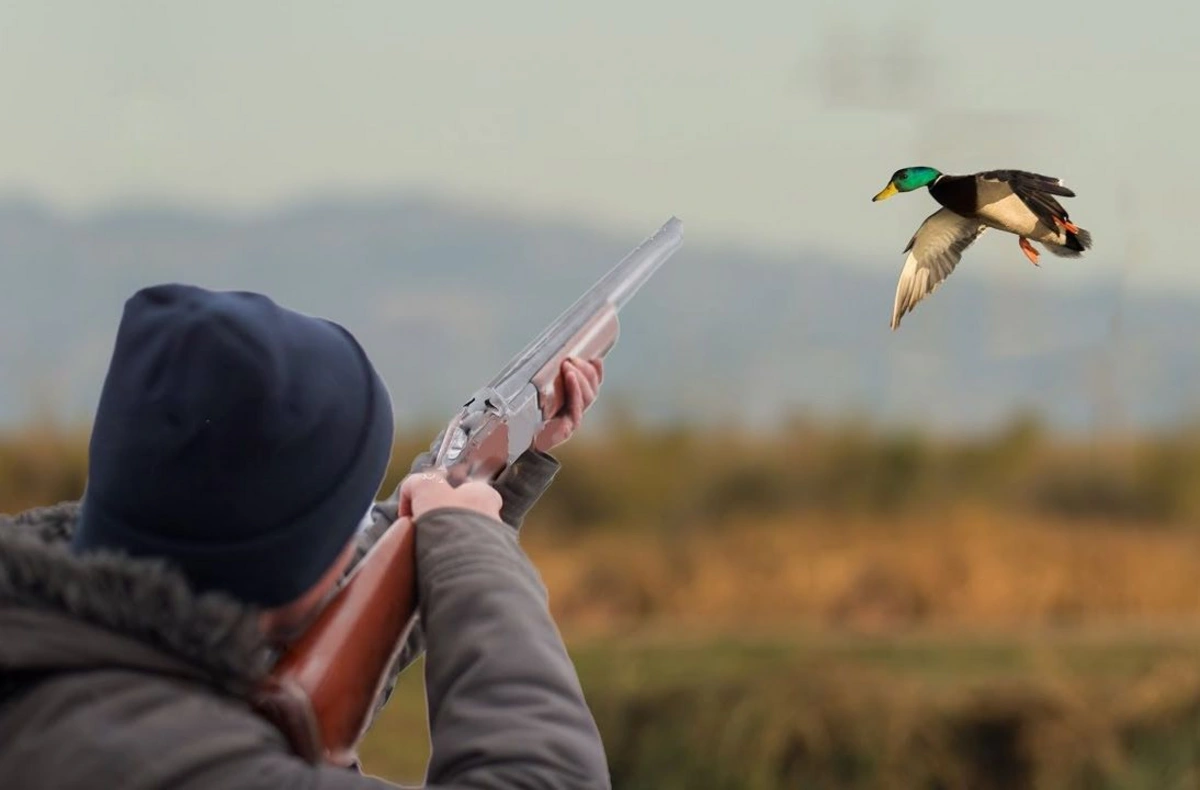 Ov qaydalarını pozan əcnəbilər saxlanıldı