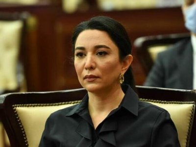 Səbinə Əliyevadan MAXE-lərlə bağlı VACİB TƏKLİF