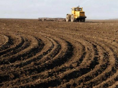 Azərbaycanda növbəti torpaq hərracları elan edildi