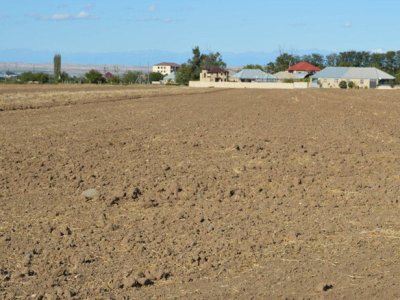 Torpaq bazarı daha şəffaf idarə olunmalıdır - DEPUTAT
