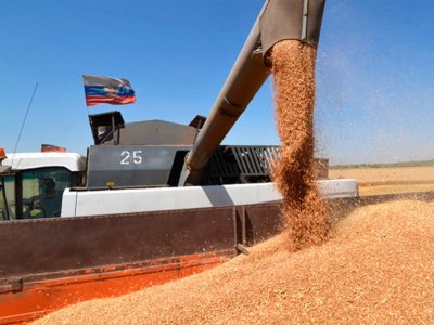 Paşinyandan Rusiyanın taxıl iddiasına REAKSİYA