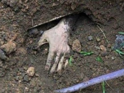 Doqquz il əvvəl itkin düşən qadının öldürüldüyü məlum oldu