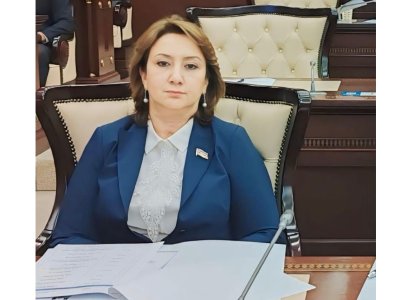 Əsas çağırış bu resursların səmərəli, ədalətli və şəffaf istifadəsini təmin etməkdir