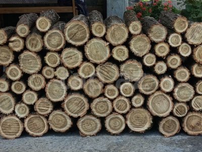 Qaz olmayan kəndlərin sakinlərinə odun veriləcək