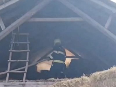 Qəbələdə tövlədə 10 ton ot bağlaması yandı - VİDEO