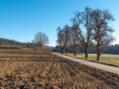 Azərbaycanda məmurların torpağı əllərindən alınacaq