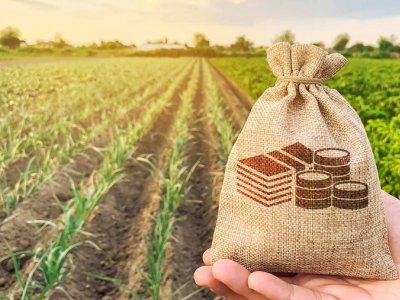 Kənd təsərrüfatı üçün 1,2 milyard