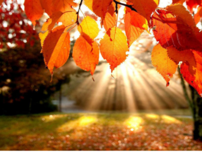 Payızda yaz havası - Sabah 21 dərəcə isti olacaq