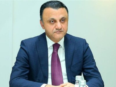 TƏBİB rəhbəri yeni yaradılan Mərkəzdən danışdı