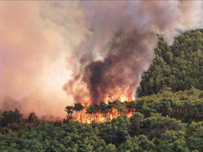 İranda Hirkan meşələri yanır - Tehran yardım istəyir