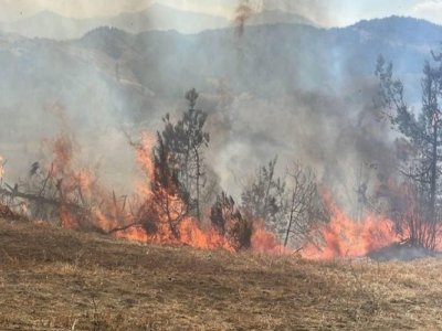 Gədəbəydə dağlıq ərazidə YANĞIN