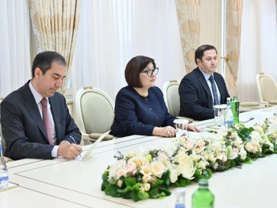 Slovakiya səfiri Sahibə Qafarova ilə görüşdü - FOTO