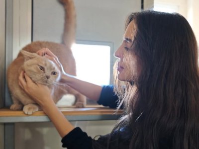 Leyla Əliyeva IDEA Heyvanlara Qayğı Mərkəzində - FOTO