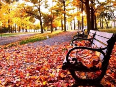 Bu gün hava necə olacaq? - PROQNOZ