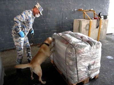 90 milyon dollarlıq heroin ABŞ-ın Azərbaycana verdiyi avadanlıqla aşkarlandı