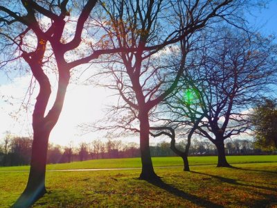 Dekabrda hava çox da soyuq keçməyəcək