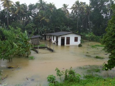 Şri-Lankada sel fəlakəti: Ölənlərin sayı 200-ə yaxınlaşır