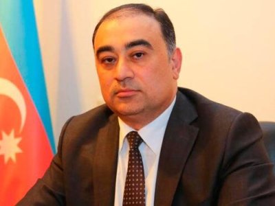 Türksoylu statusu yalnız başqa ölkələrdə yaşayan milli azlıqlara verilir - Səfir