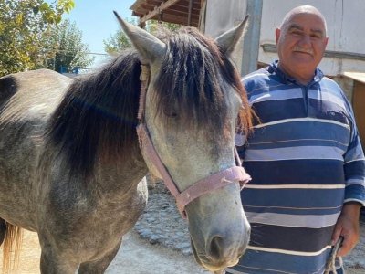 Vəli dayı, kəndimizdən muğayat ol!