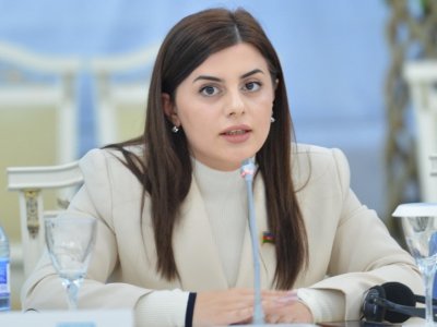 Bu şəxslər üçün xüsusi sığınacaq yaradılsın -  TƏKLİF