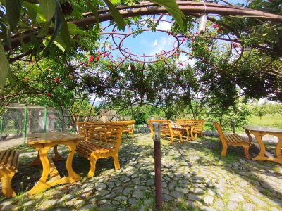 8 nəfərlə yaradılan 8 hektarlıq ekopark