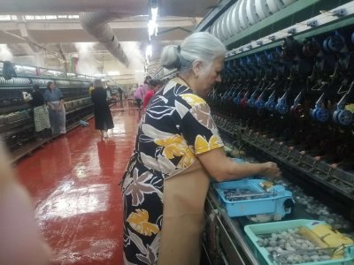 "Azəripək"in məhsuldarlığı iki dəfə artacaq