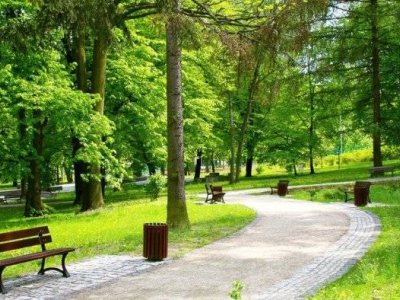 Qarabağda yeni milli parkın xəritə-sxemi hazırlandı