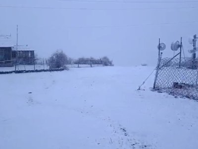 Naxçıvan ağ örpəyə büründü - GÖRÜNTÜ