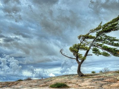 Hava ilə bağlı daha bir xəbərdarlıq edildi