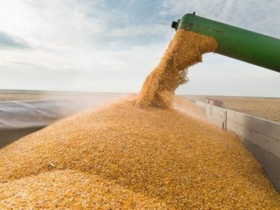 Ermənistan taxılı bu ölkələrdən alır