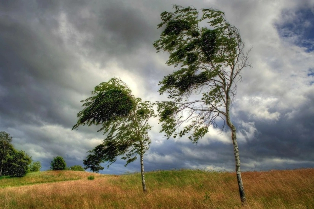 Rayonlarda külək əsir