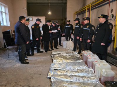 Naxçıvanda külli miqdarda narkotik məhv edildi