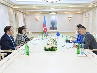 Spiker Aİ-nin Azərbaycandakı nümayəndəliyinin rəhbəri ilə görüşdü - FOTO