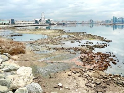 Xəzərin quruması yalnız Volqa məsələsi deyil: Dənizi məhv edən 3&nbsp;FAKTOR