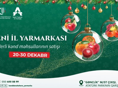 &ldquo;Kənddən Şəhərə&rdquo; Yeni il yarmarkası&nbsp;başlayır