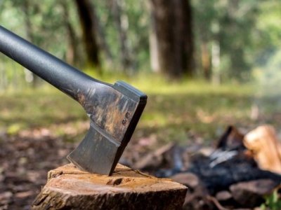 Təbiətə 300 min manata yaxın ziyan dəyib