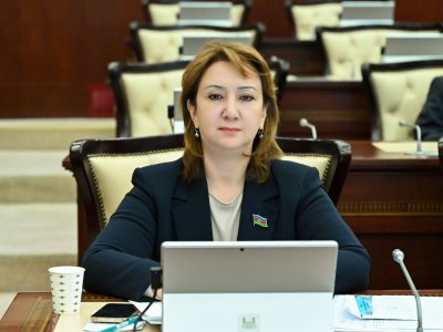 İkili standartlar fonunda qətnamə siyasəti