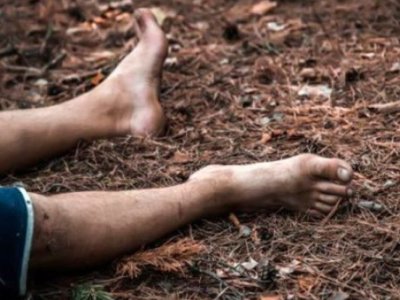 Meşədə üzərinə&nbsp;ağac düşən şəxs öldü