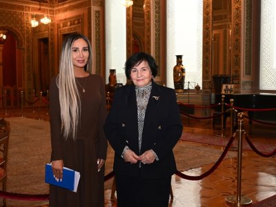 "Prezidentin çıxışı tarixçi alimlərin qarşısına ciddi vəzifələr qoyub" -&nbsp;Akademik Nailə Vəlixanlı