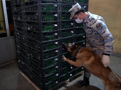 Astara Gömrüyyündə əməliyyat: 148 kiloqramdan artıq narkotik aşkarlandı