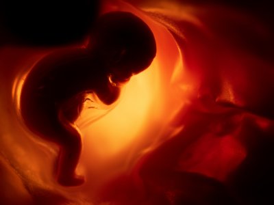 Xidməti ixtiralardan gəlirin azı 50%-i müəlliflərə veriləcək