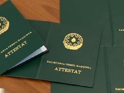 Attestatla universitetə qəbul olanların sonrakı taleyi mənfi olur - Agentlik direktoru