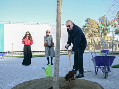 Yeni parkdakı ilk palıd ağacını Prezident əkdi - GÖRÜNTÜLƏR