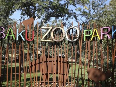 Bakı Zooparkı niyə panda ala bilmir... - Direktor müavini açıqladı