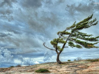 Bakı və bölgələrdə külək güclənib -&nbsp;FAKTİKİ HAVA