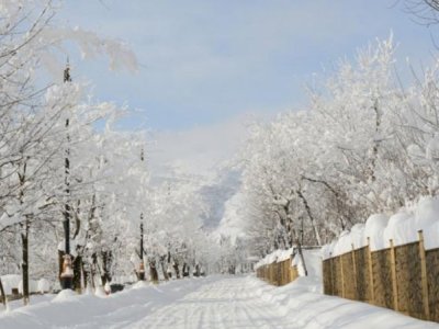 Naxçıvanda 29 sm qar yağıb - Faktiki hava