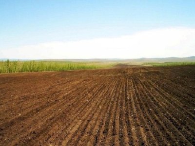 Azərbaycanda növbəti torpaq hərracları keçiriləcək