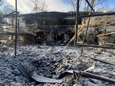 Rusiya bu dəfə heyvanları hədəfə aldı